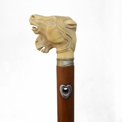 Collection Cane With Horse Heads In Ivory XIXth