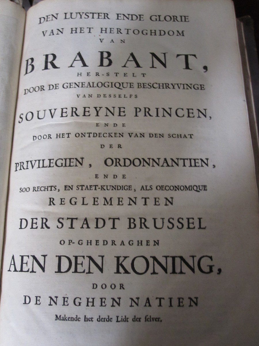 The Treasure Of The Privileges Of The City Of Brussels. 1698. Frontis And Other Beautiful Engravings-photo-4