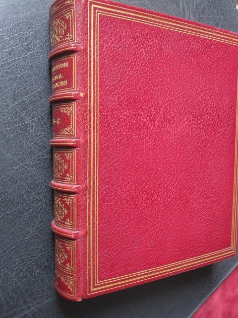 Recueil De Planches De l'Encyclopédie   Paris 1783. 2º Volume Avec Reliure Maroquinerie De Luxe-photo-2
