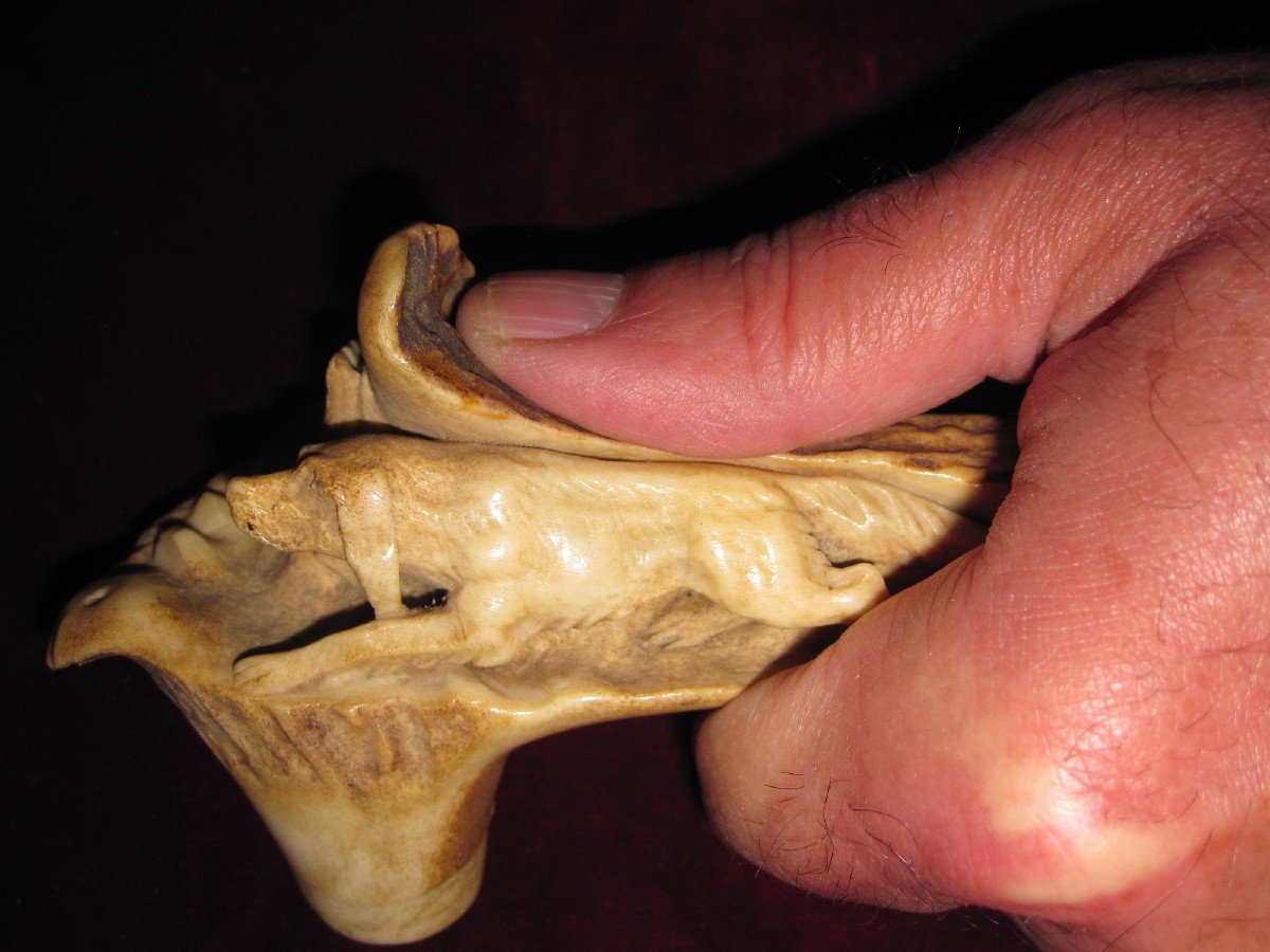 Beautifully Carved Stag Antler Cane Handle. With A Stalking Dog Scene-photo-3
