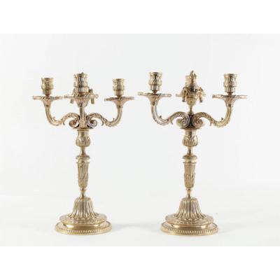 Pair Of Candelabra In The Style Of Louis XV In Gold Gilt Bronze 19th Century.