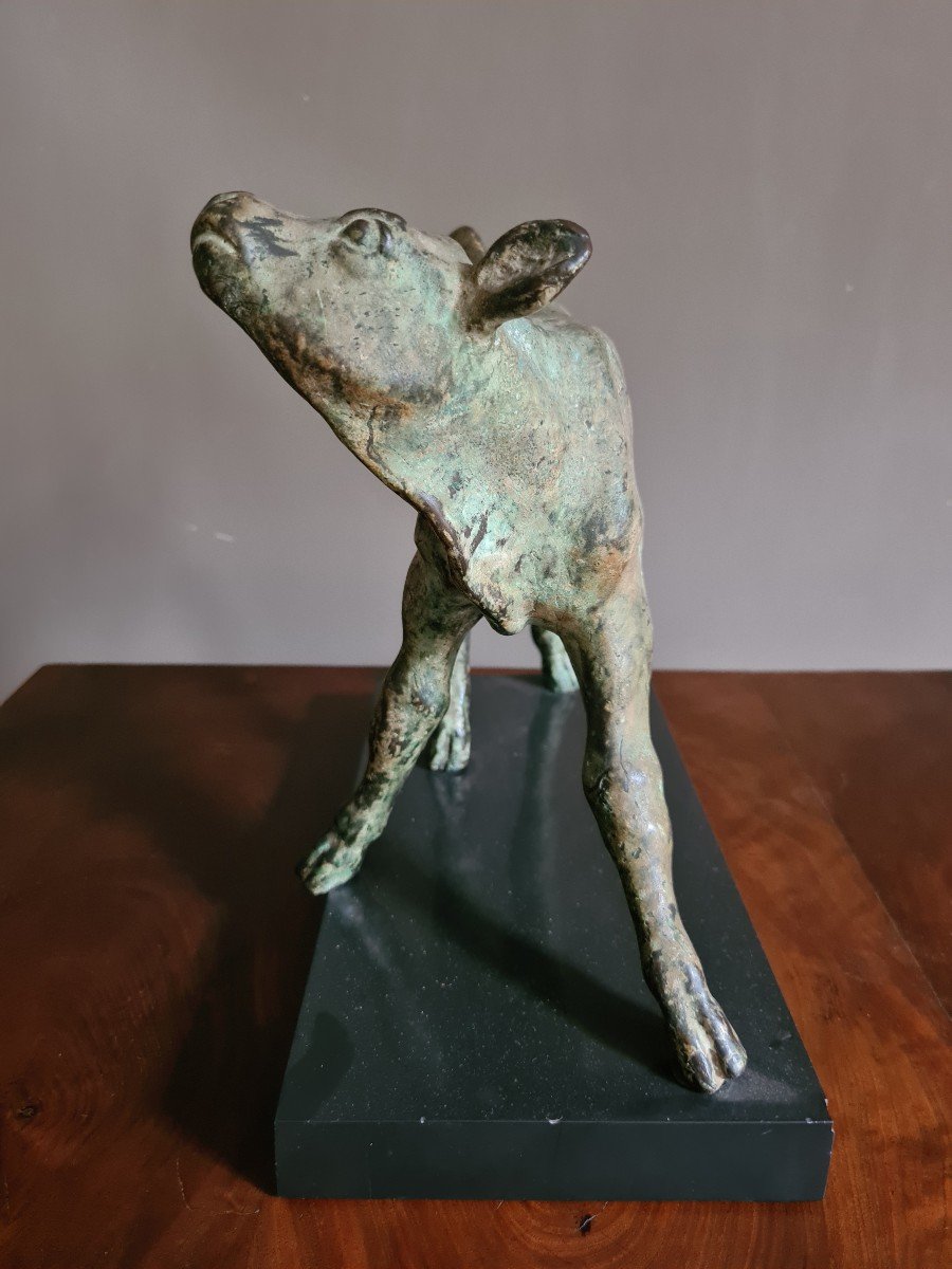 Sculpture En Bronze Représentent Un Pitit Veau. -photo-2