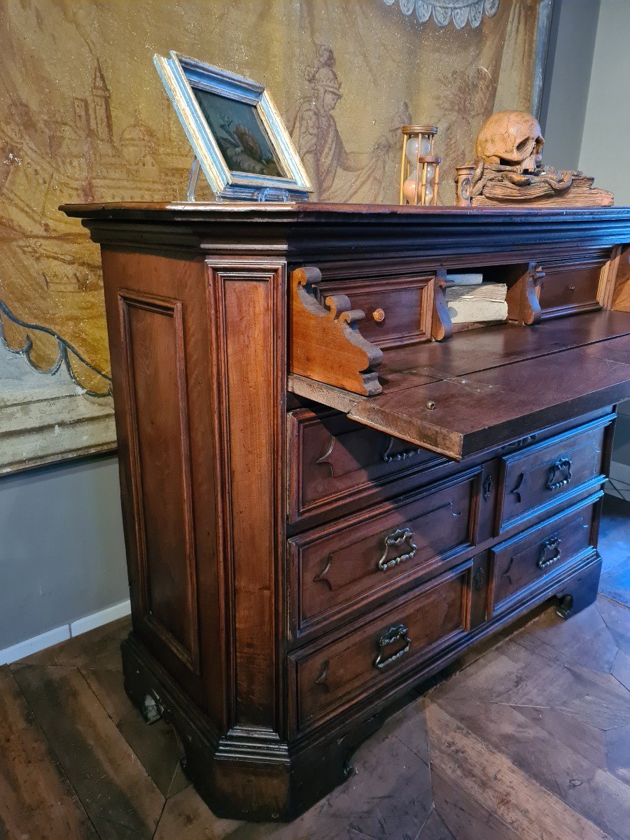 Walnet Paneled Chest Of Drawers With 17th Century Cabinet And Drawer-photo-3