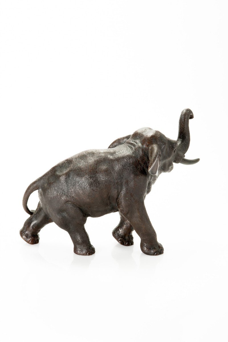 Seiya – A Japanese Bronze Elephant-photo-2