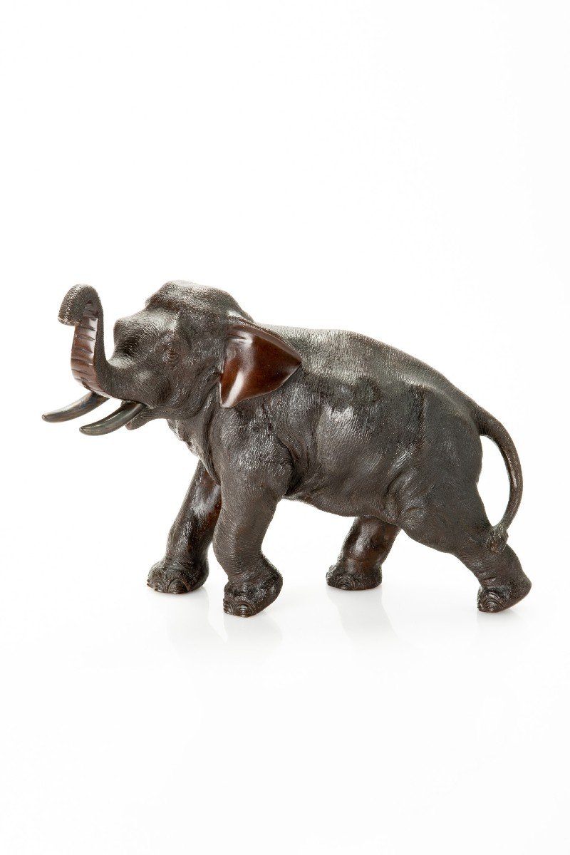 Seiya – A Japanese Bronze Elephant