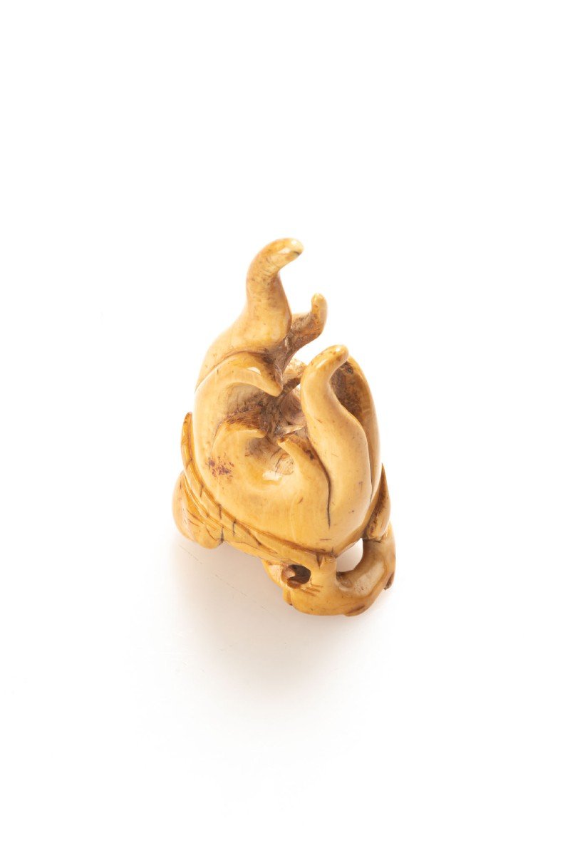 Netsuke En Ivoire Représentant Le Cèdre De La Main De Bouddha-photo-3