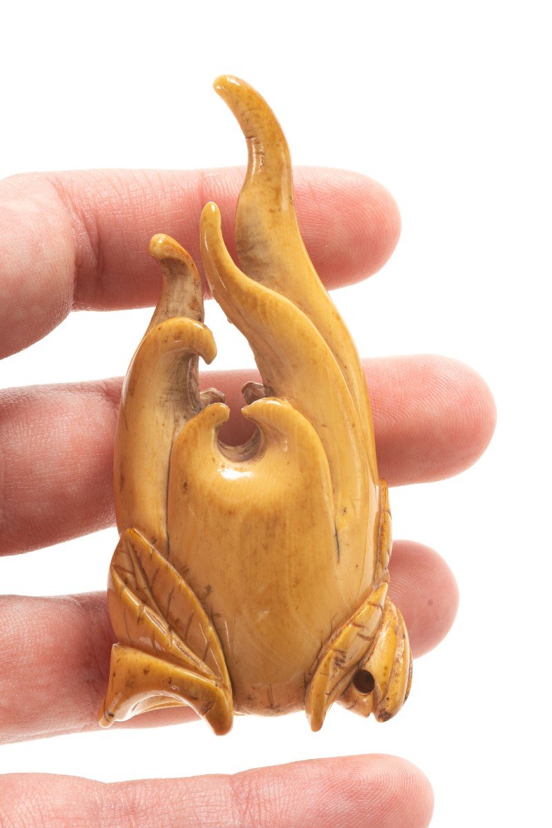 Netsuke En Ivoire Représentant Le Cèdre De La Main De Bouddha-photo-1