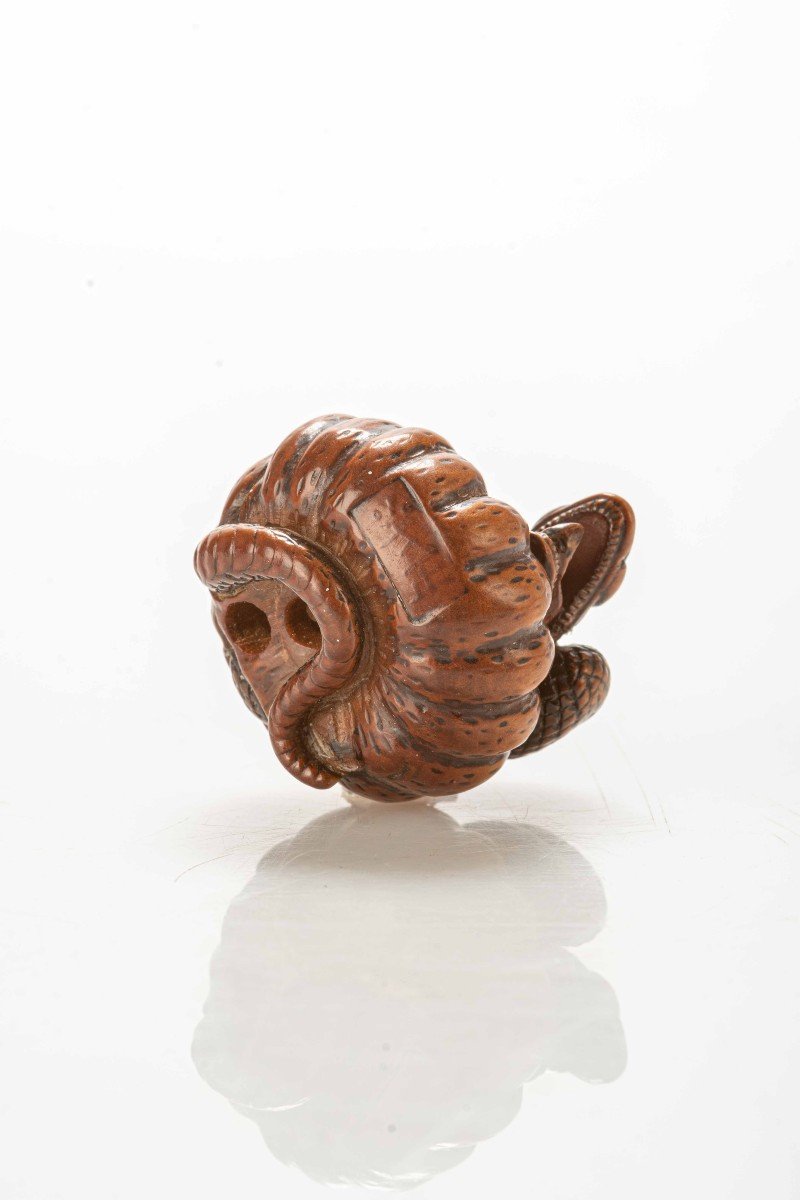 Netsuke En Buis Figurant Un Serpent S'enroulant Autour d'Une Citrouille-photo-4