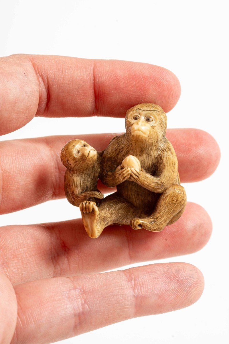 An Ivory Netsuke Depicting A Pair Of Sitting Monkeys-photo-1