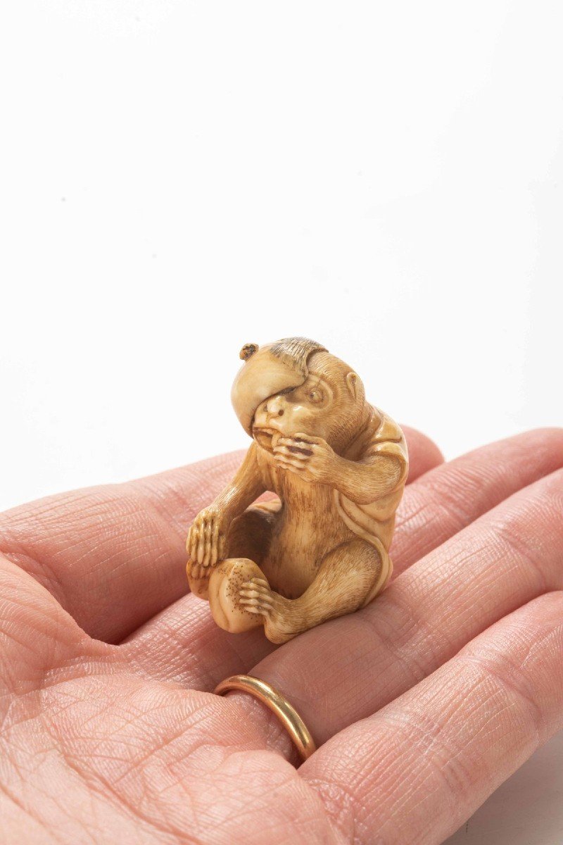 Netsuke En Ivoire Capturant Un Singe Mangeant Un Fruit-photo-3