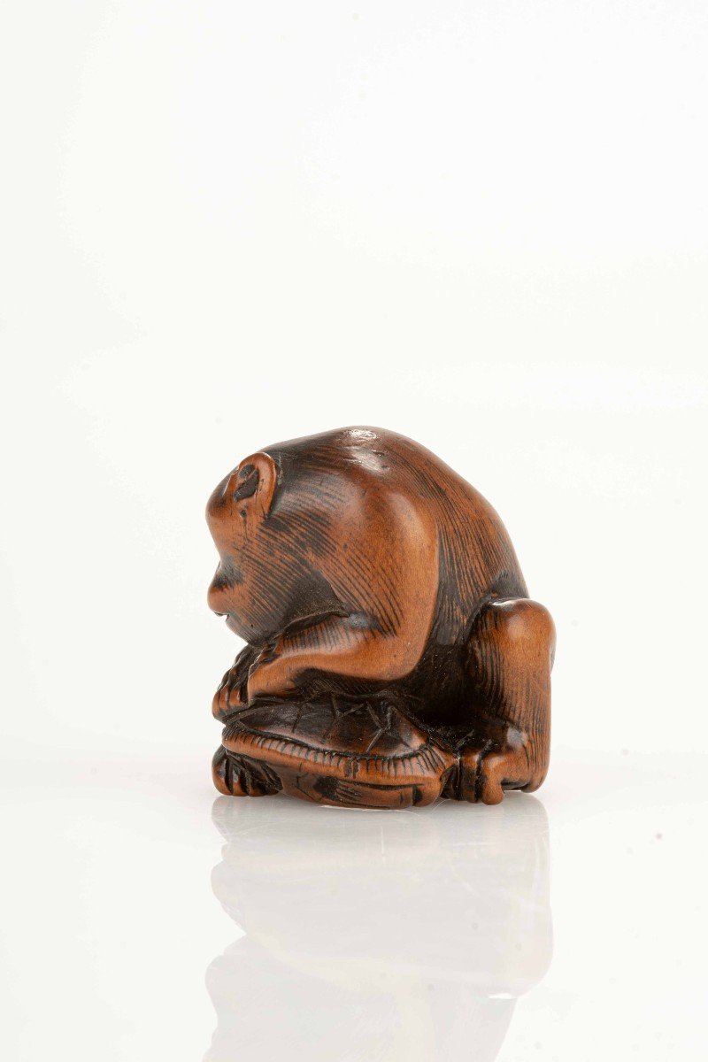 A Japanese Netsuke Depicting A Monkey With A Turtle-photo-3