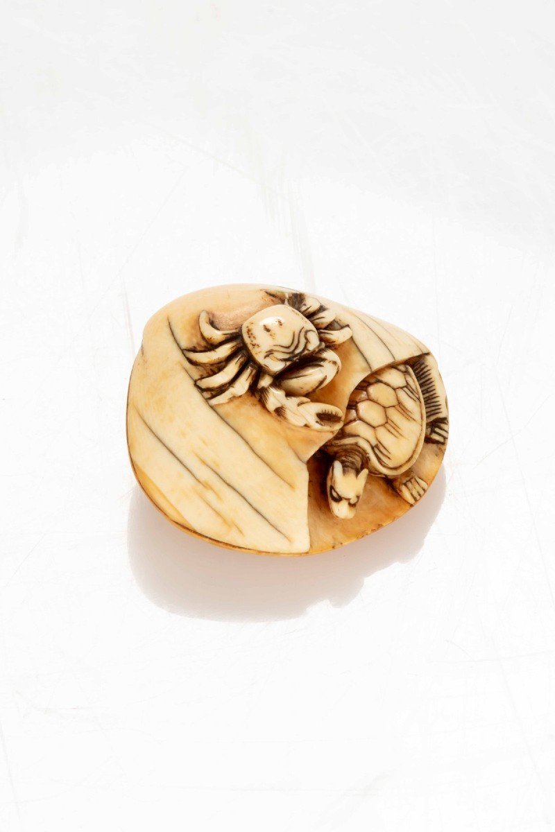 An Ivory Netsuke Depicting A Shell With A Crab And A Turtle-photo-3