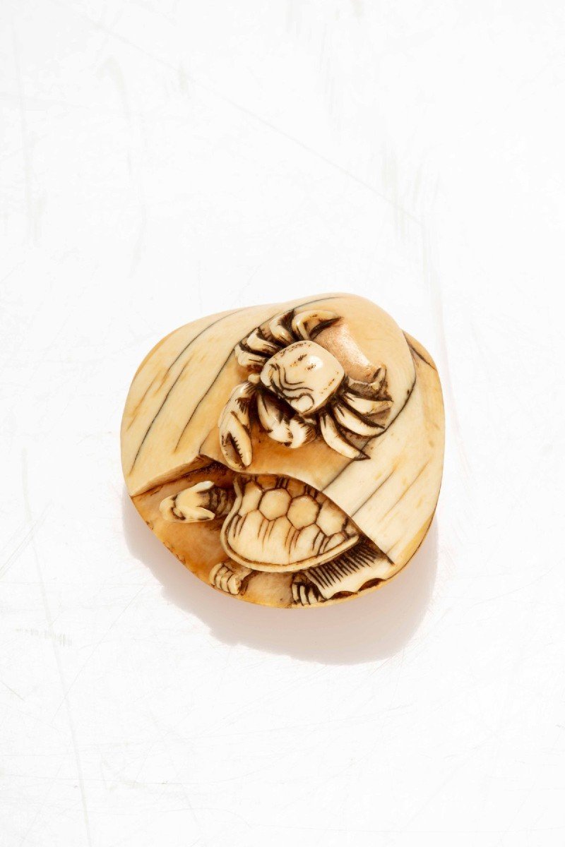 An Ivory Netsuke Depicting A Shell With A Crab And A Turtle