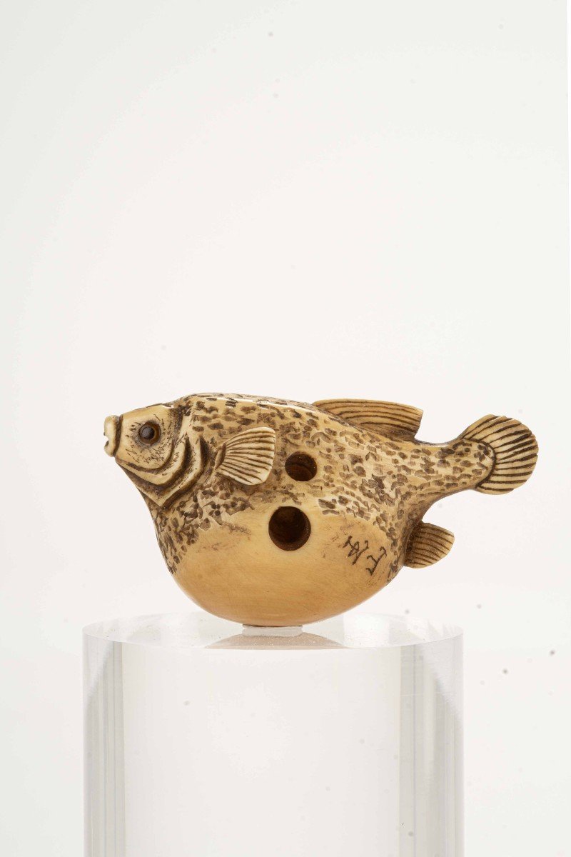 Netsuke En Ivoire Représentant Fugu, Signé Gyokuzan-photo-2