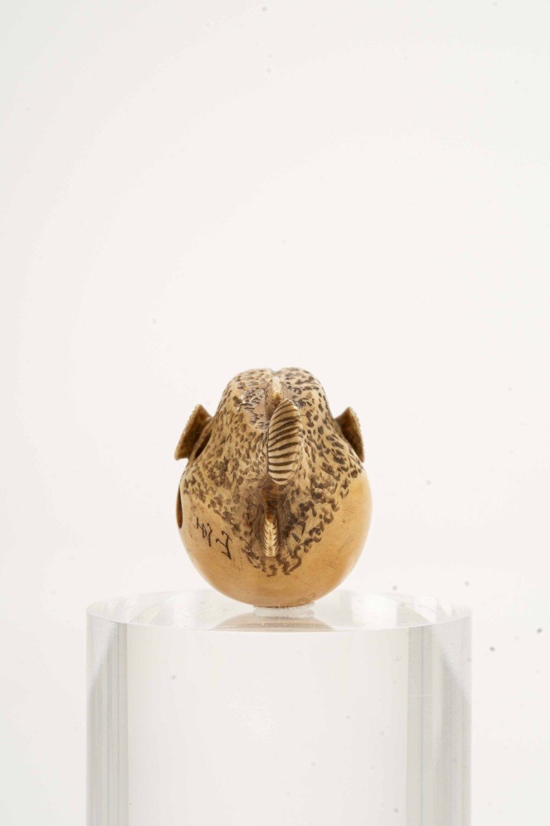 Netsuke En Ivoire Représentant Fugu, Signé Gyokuzan-photo-3