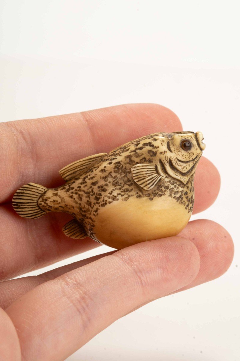 Netsuke En Ivoire Représentant Fugu, Signé Gyokuzan-photo-2