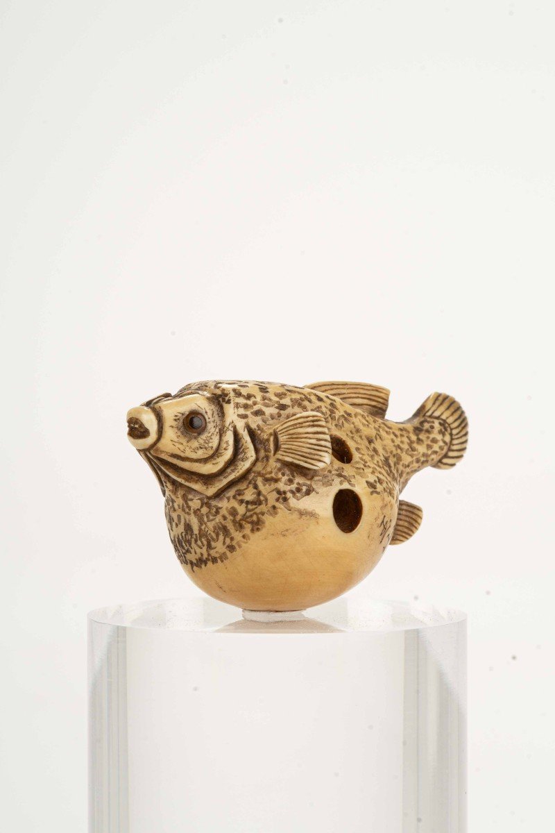 Netsuke En Ivoire Représentant Fugu, Signé Gyokuzan