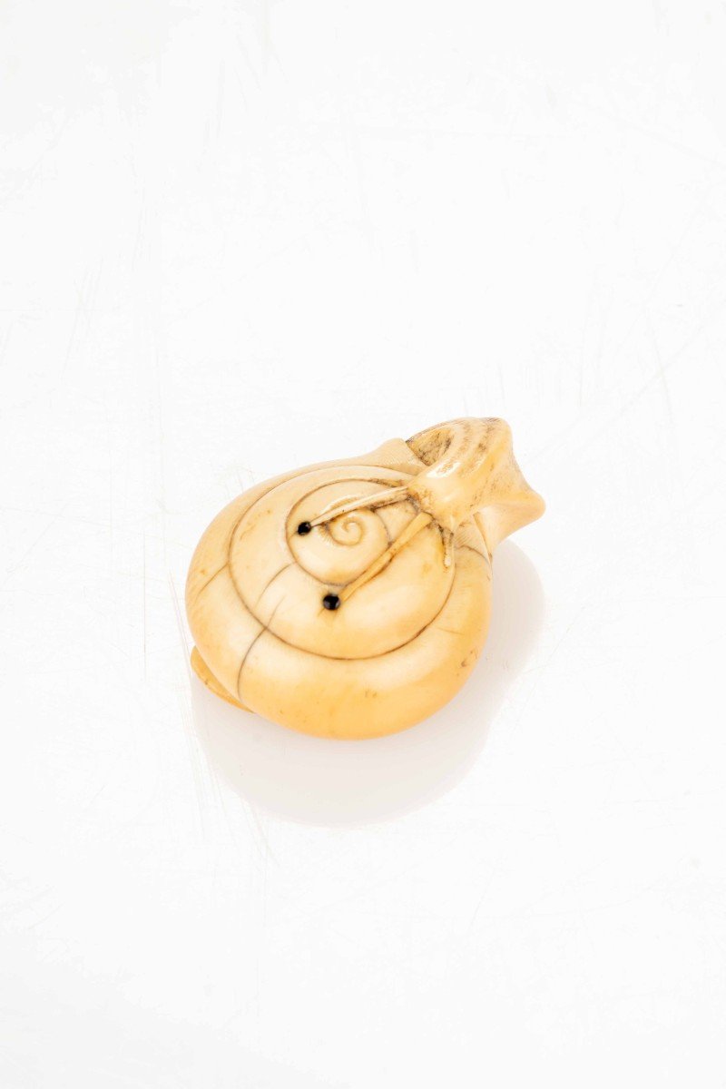 An Ivory Netsuke Depicting A Snail-photo-2