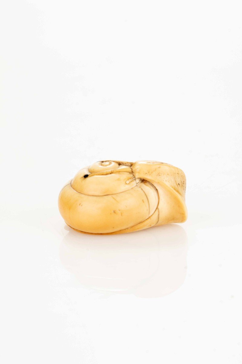 An Ivory Netsuke Depicting A Snail-photo-3