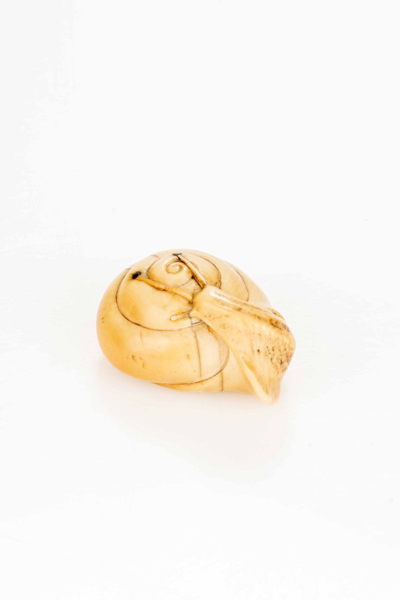 An Ivory Netsuke Depicting A Snail-photo-4