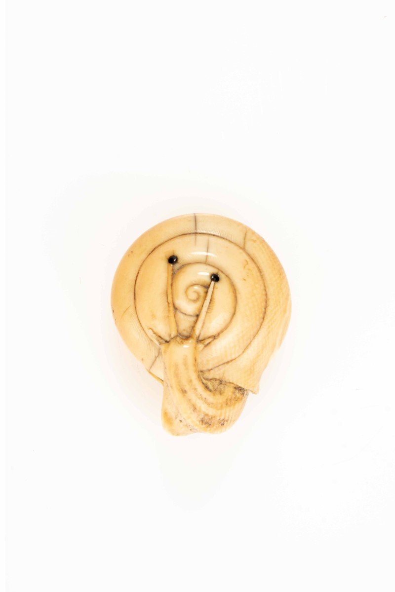 An Ivory Netsuke Depicting A Snail-photo-1