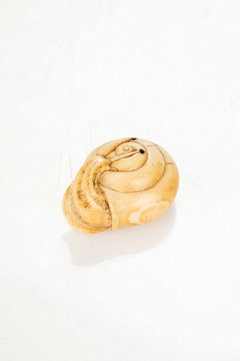 An Ivory Netsuke Depicting A Snail-photo-2