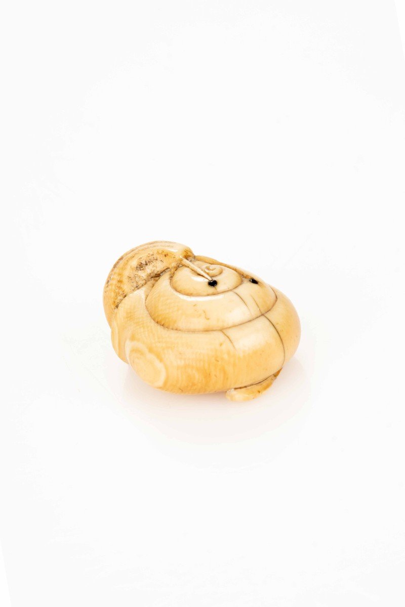 An Ivory Netsuke Depicting A Snail-photo-3