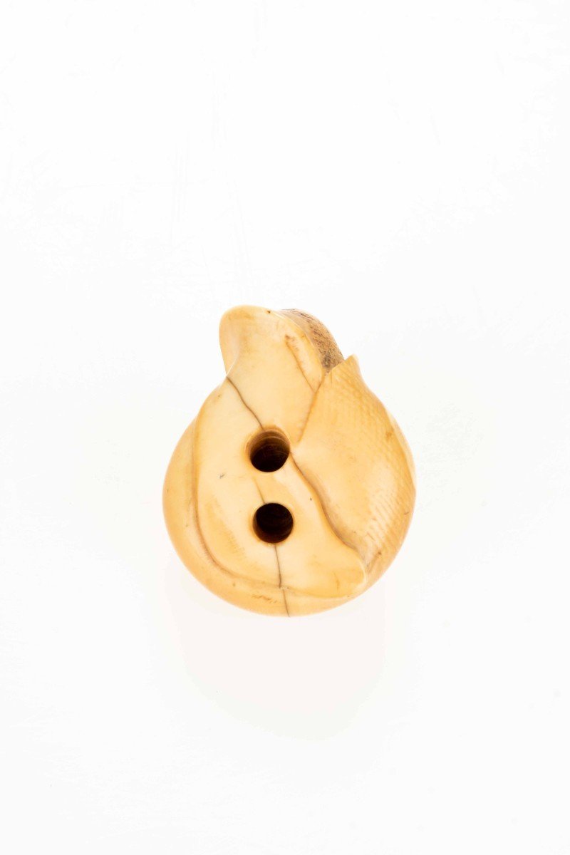 An Ivory Netsuke Depicting A Snail-photo-4