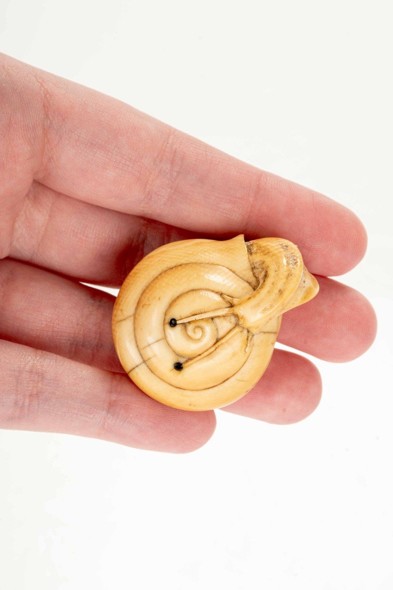 An Ivory Netsuke Depicting A Snail-photo-5