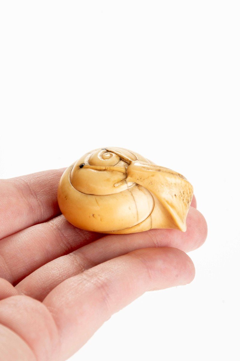 An Ivory Netsuke Depicting A Snail-photo-6