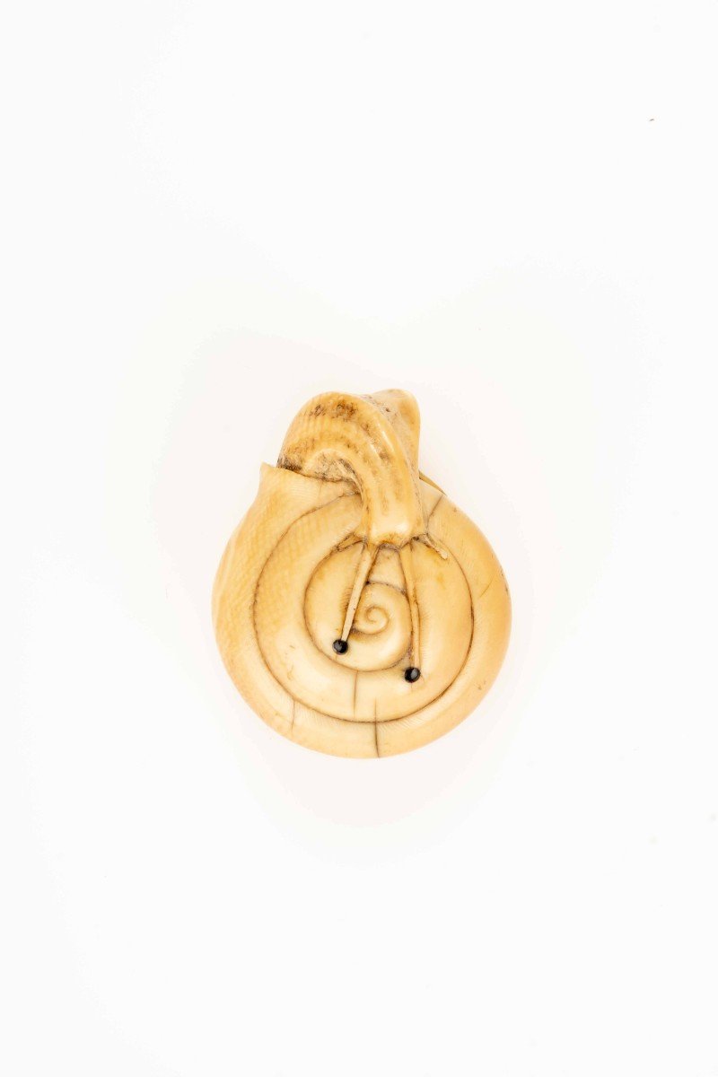 An Ivory Netsuke Depicting A Snail