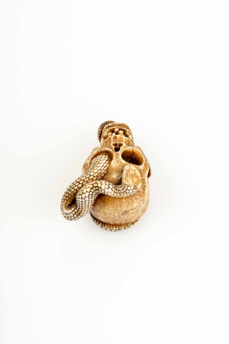 Netsuke En Ivoire Figurant Un Serpent Traversant Un Crâne-photo-3