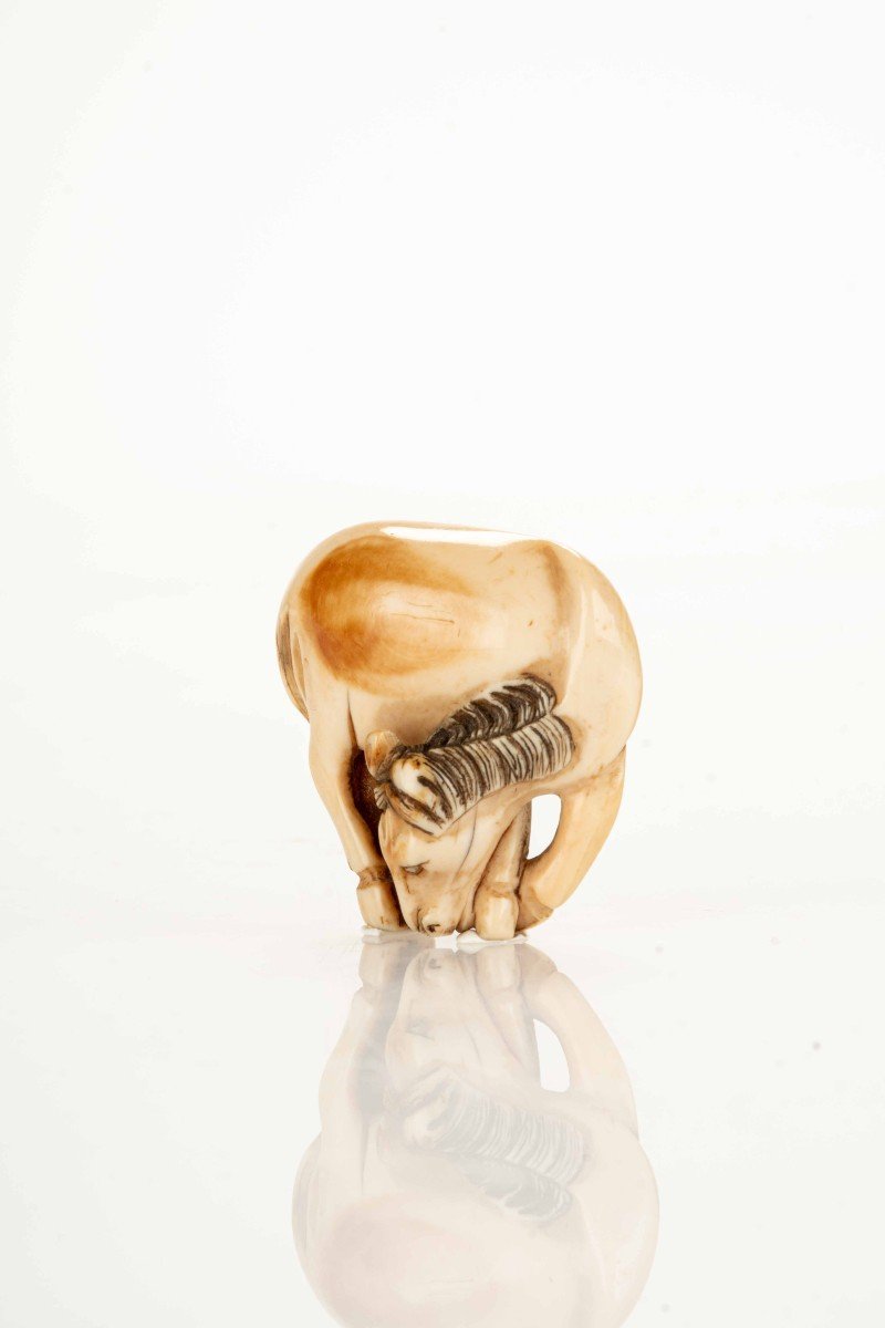 Netsuke japonais en ivoire représentant un cheval-photo-2