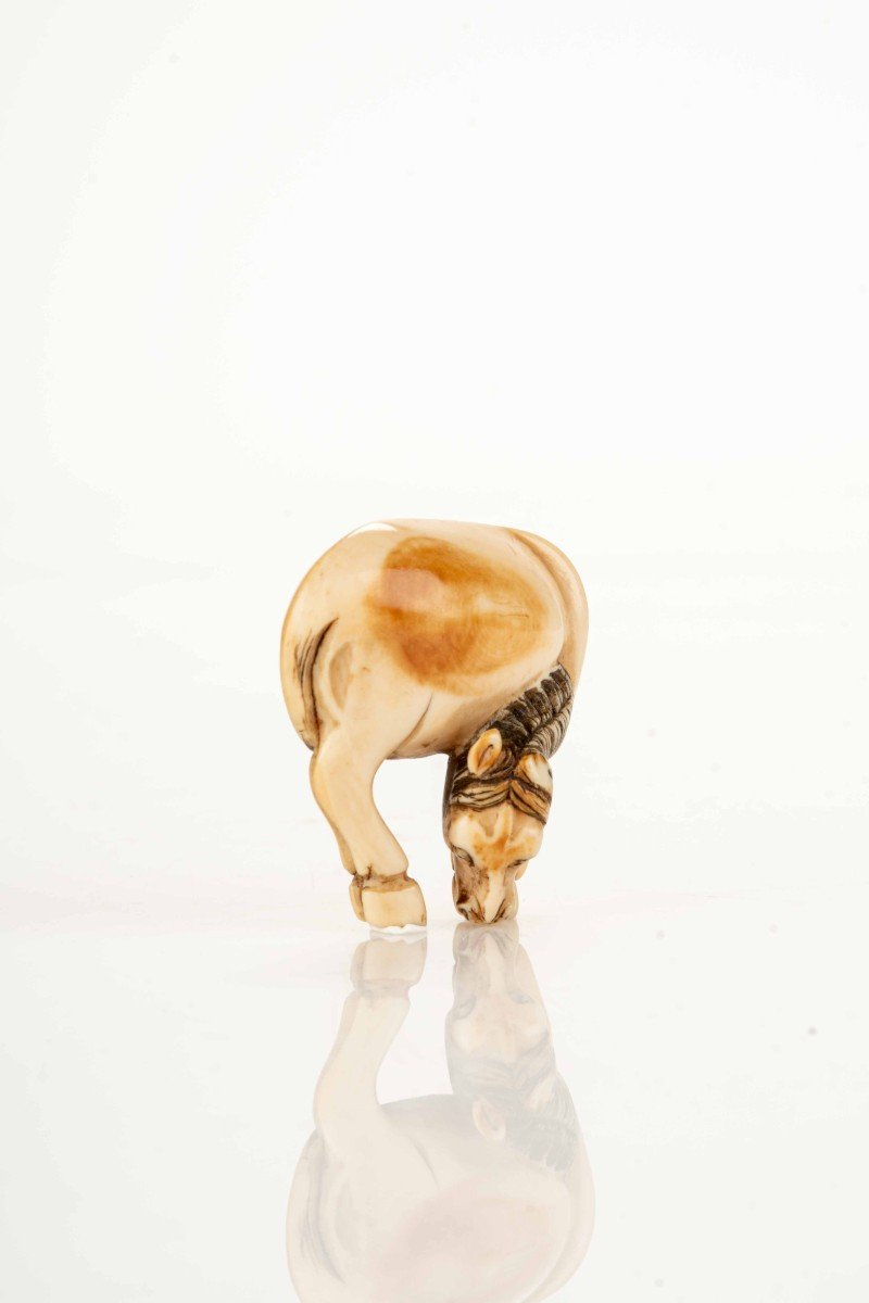 Netsuke japonais en ivoire représentant un cheval-photo-4