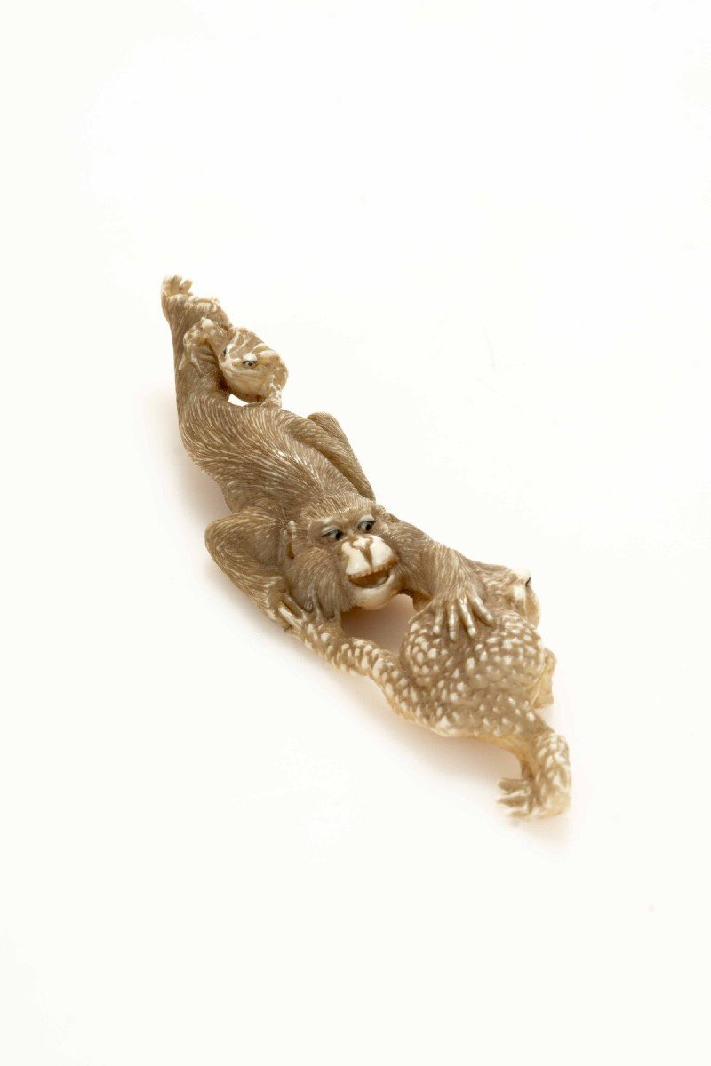 A Marine Ivory Okimono Depicting A Monkey With Toads-photo-2