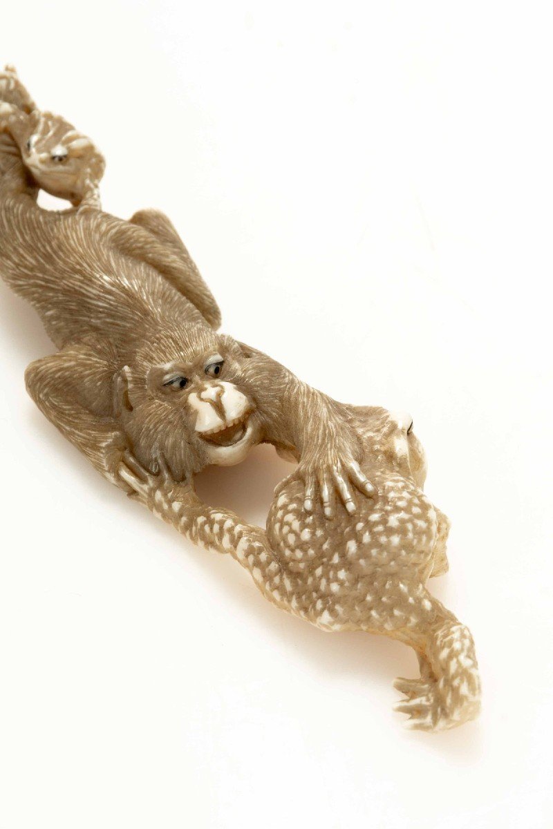 A Marine Ivory Okimono Depicting A Monkey With Toads-photo-3