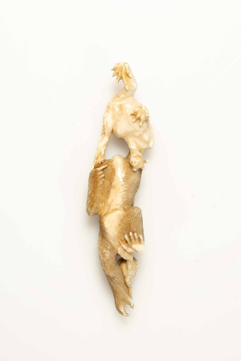 A Marine Ivory Okimono Depicting A Monkey With Toads-photo-2