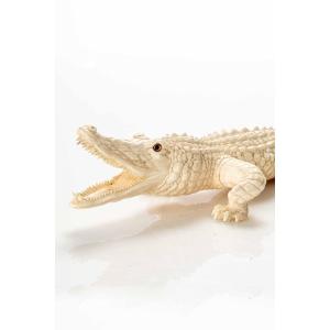 Okimono En Ivoire De l'école De Tokyo Figurant Une étude De Crocodile