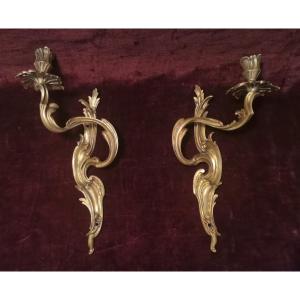 Pair Of Louis XV Style Rocaille Single Light Sconces, 19th Century