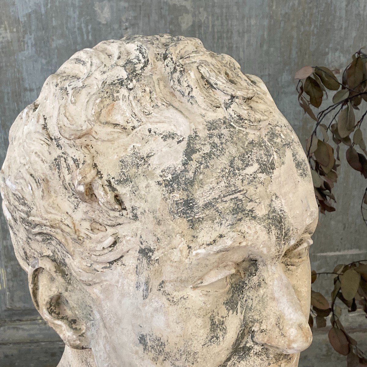 Plaster Bust Of Baron Guillaume Dupuytren-photo-3