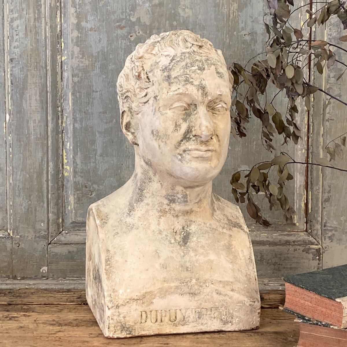 Plaster Bust Of Baron Guillaume Dupuytren-photo-5