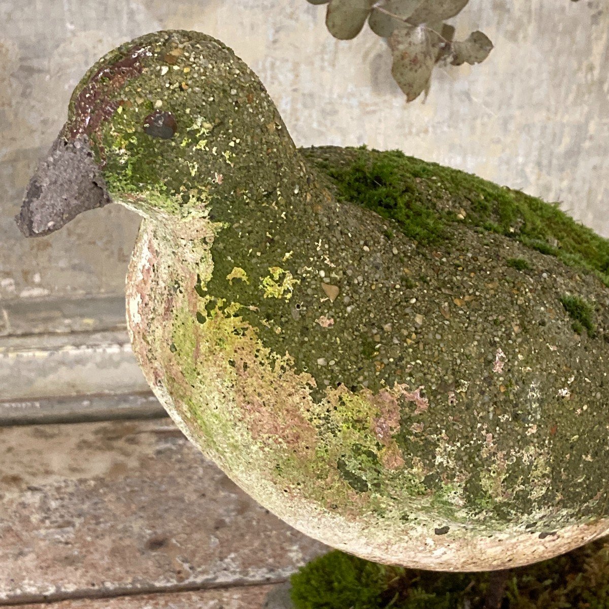 Pigeon en ciment 1900-photo-2