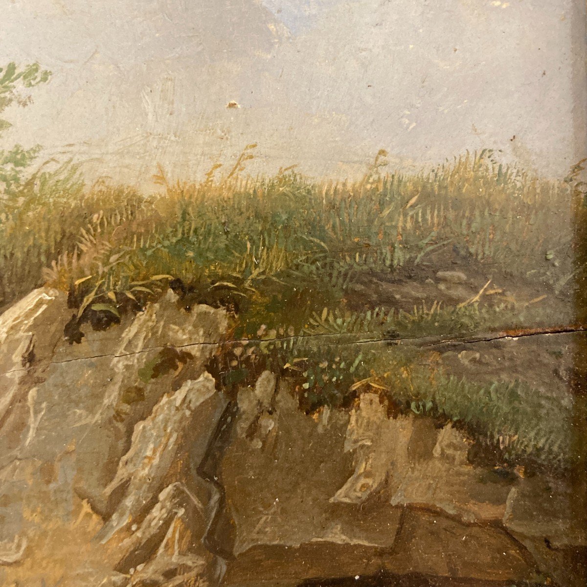 Oil On Panel 19th Century-photo-2