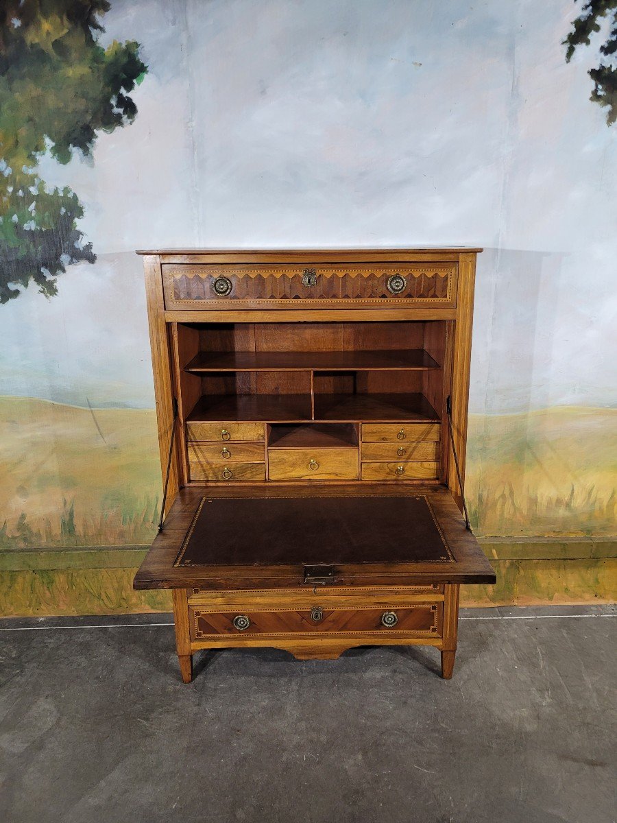 Louis XVI Period Secretary In Marquetry-photo-2