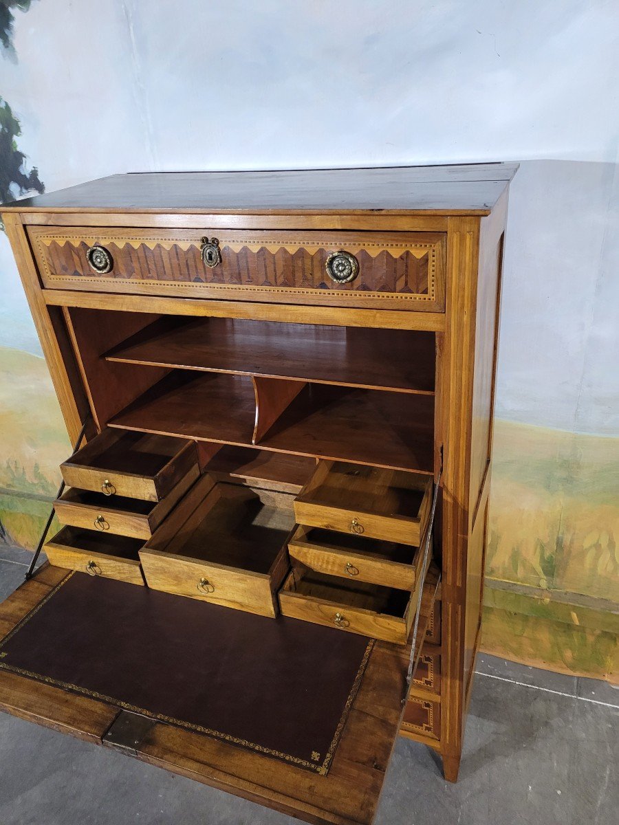 Louis XVI Period Secretary In Marquetry-photo-2