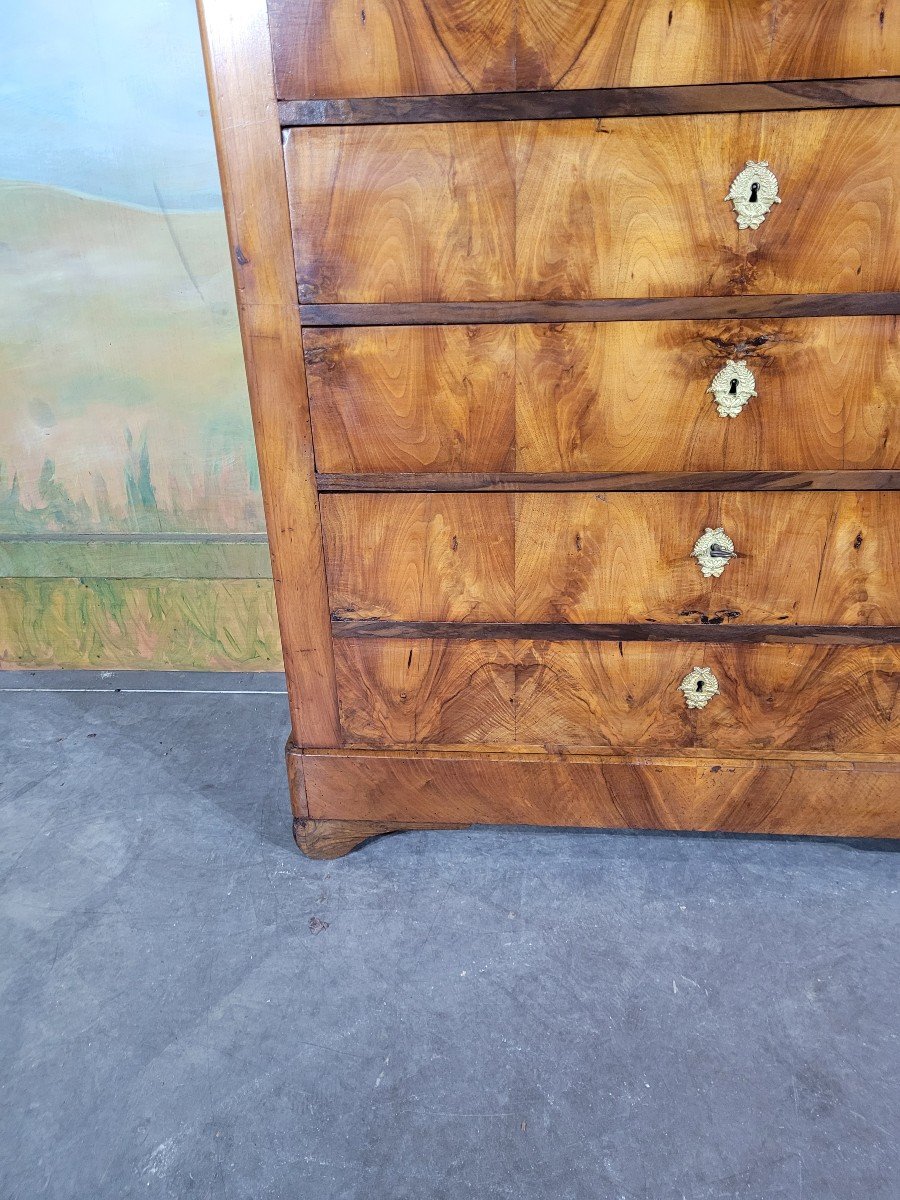 Chest Of Drawers, Large Louis Philippe Period In Walnut-photo-4