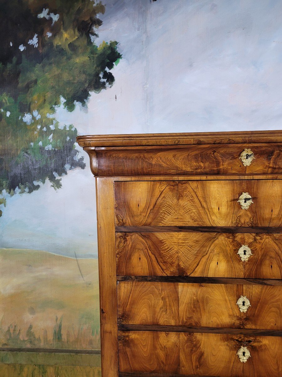 Chest Of Drawers, Large Louis Philippe Period In Walnut-photo-1