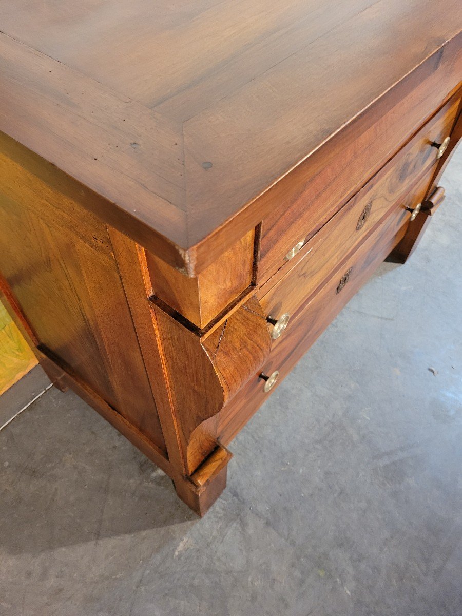 Chest Of Drawers Restoration Period In Walnut-photo-5