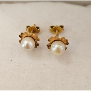 Boucle d'Oreille Puces En Or 18k Perles