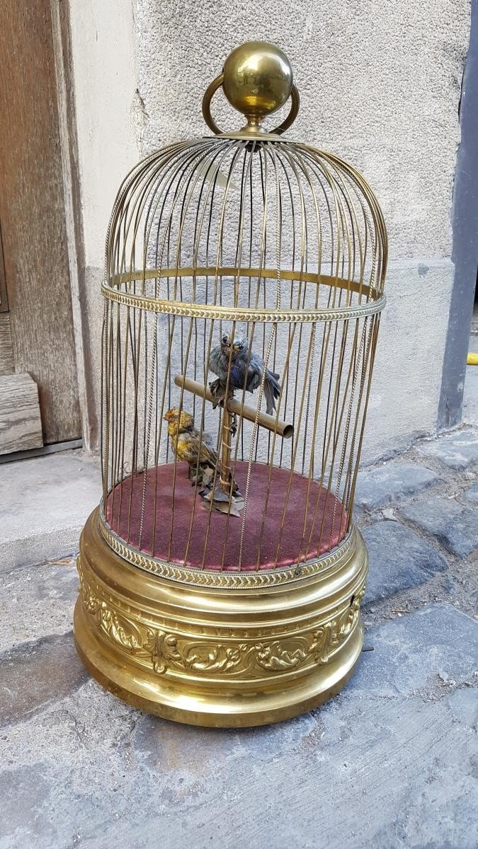 Automate, Cage à Oiseaux Siffleurs-photo-3